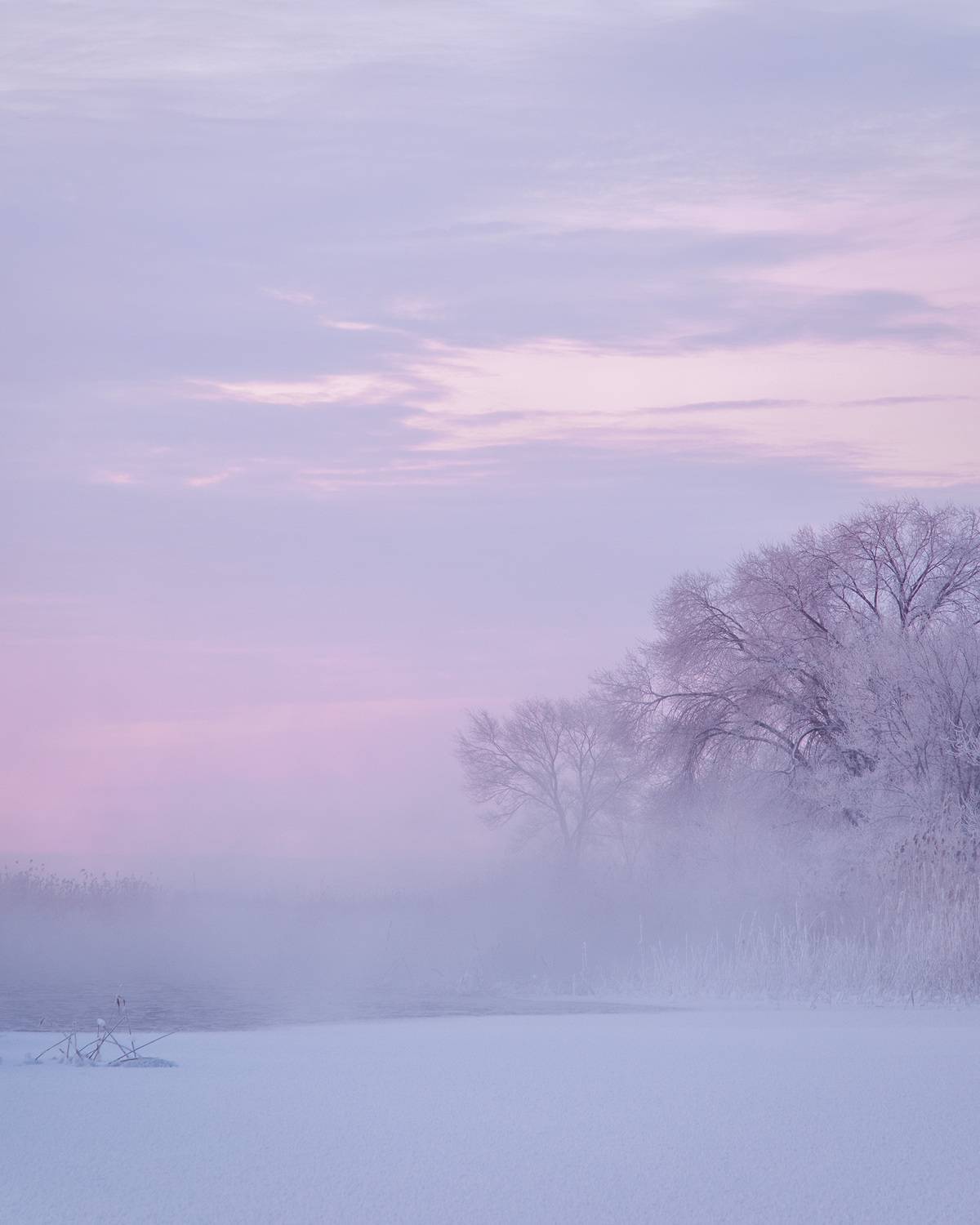 , Бодрягин Виталий