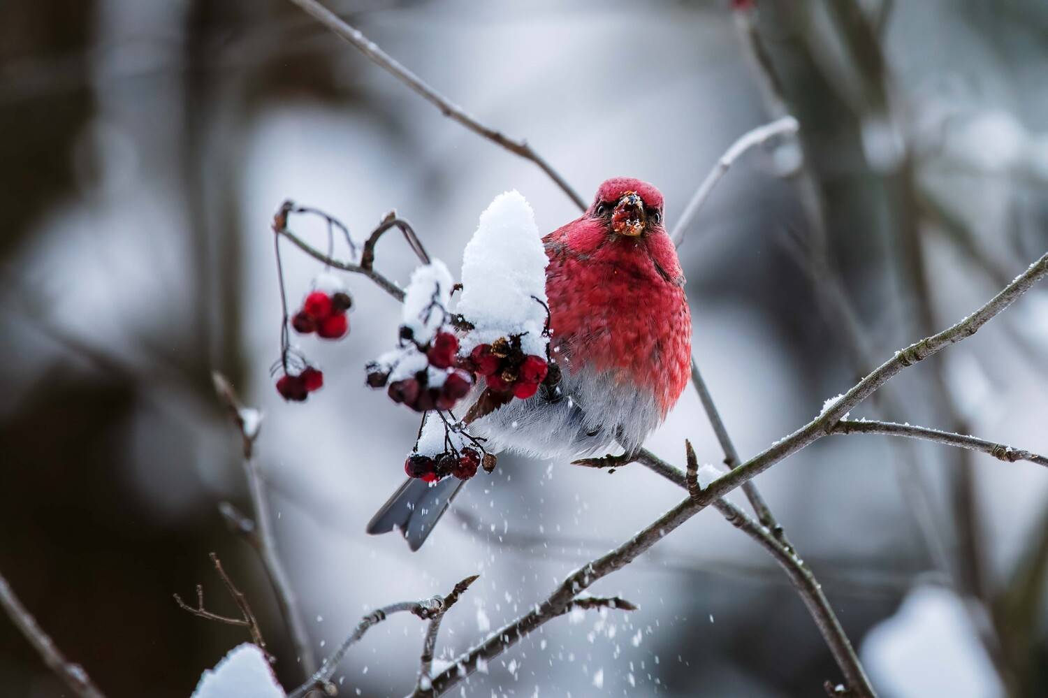 , Павел Ныриков