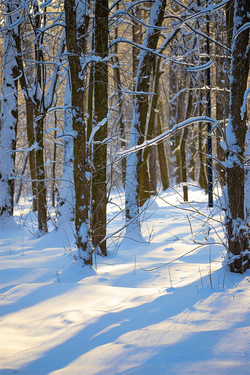 , Чудинин Дмитрий
