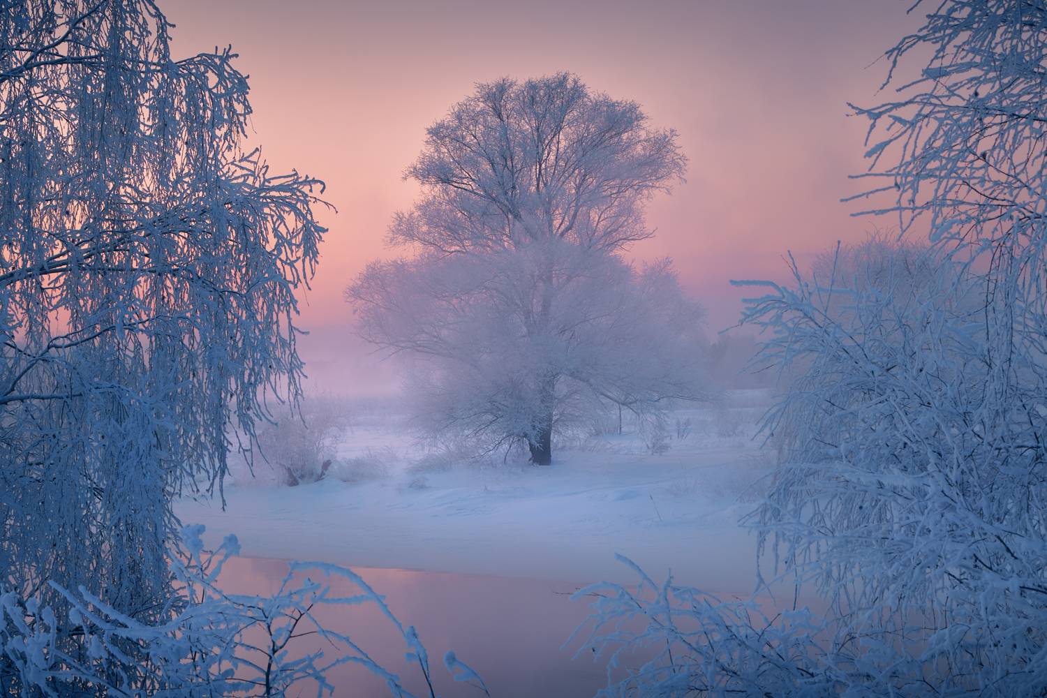 , Роман Лушпа