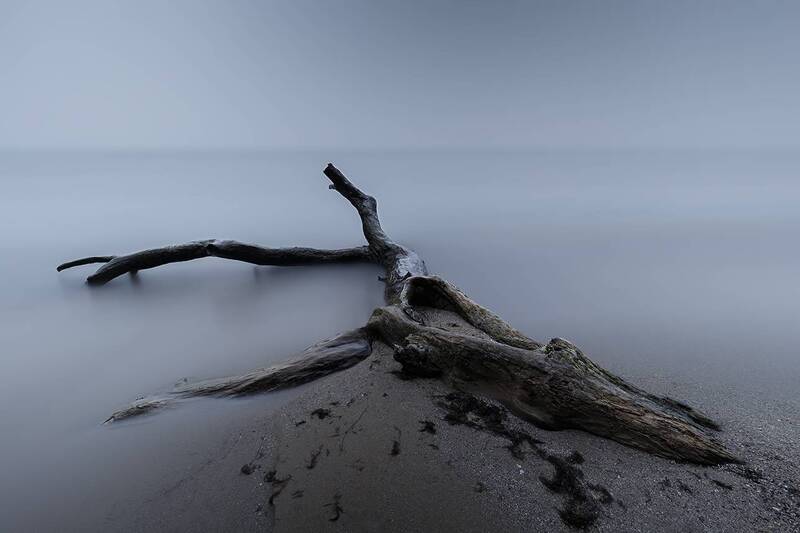 2025-03-31 фото превью
