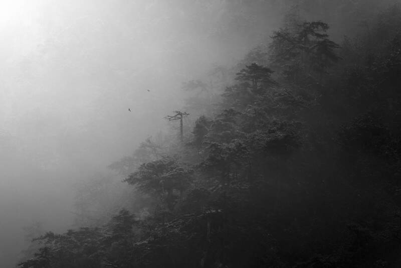 Breath of Winter фото превью