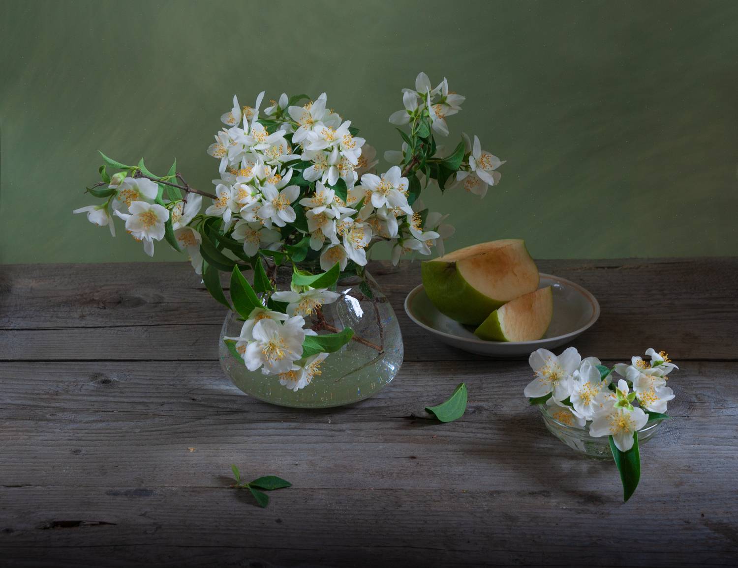 , Елена Павлюк