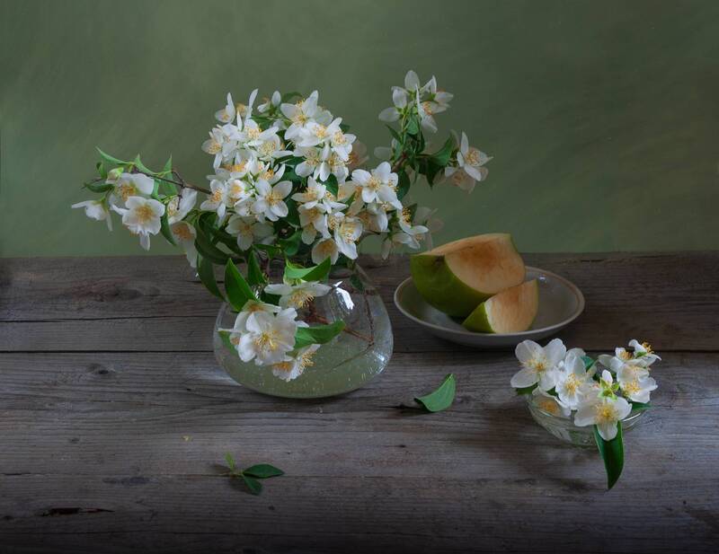 ***С жасмином*** фото превью