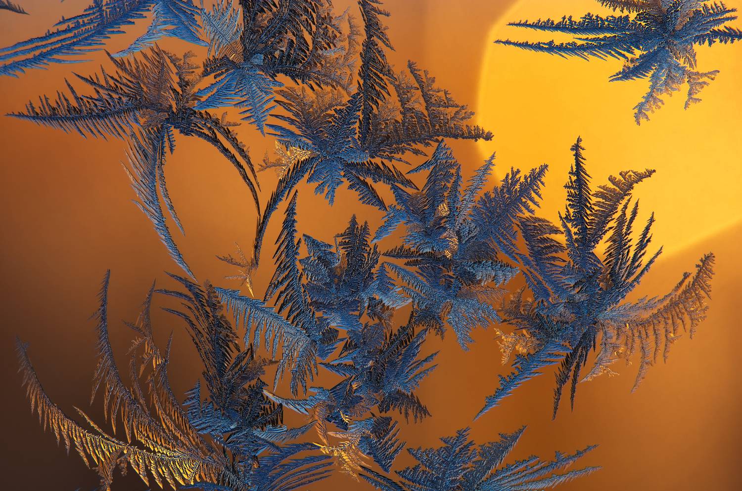 дед мороз и лето, окно, стекло, узоры, дендриты, Черенков Павел