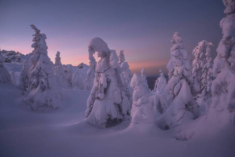 Перед рассветом фото превью