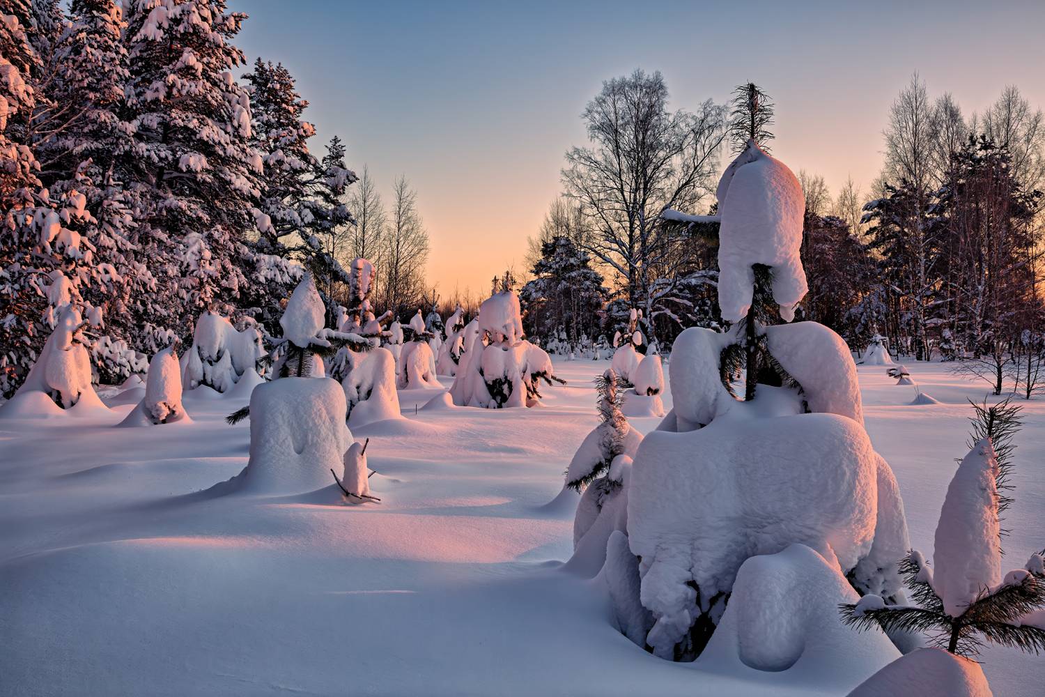 , Евгений Ерохин