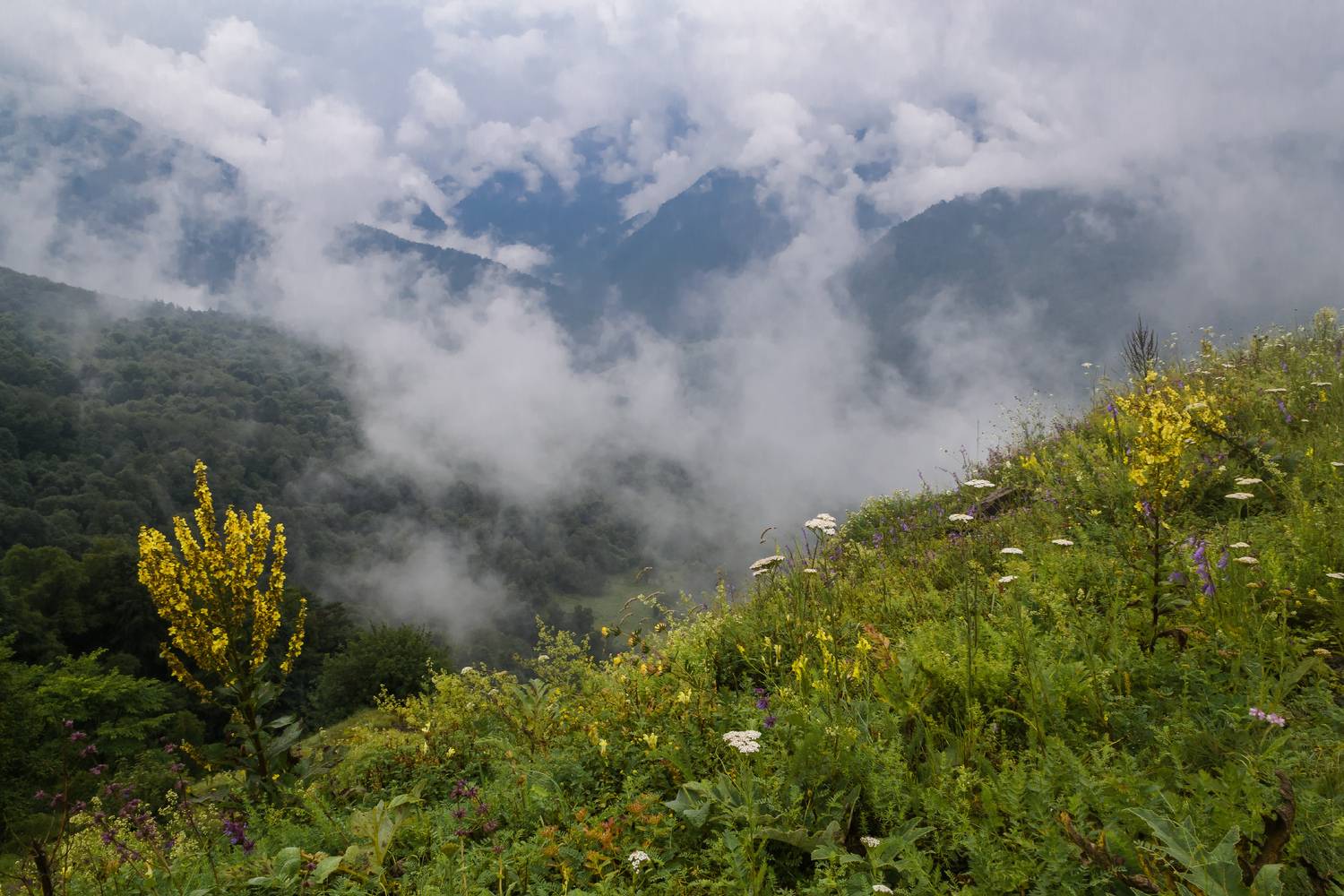 , Лысенко Сергей