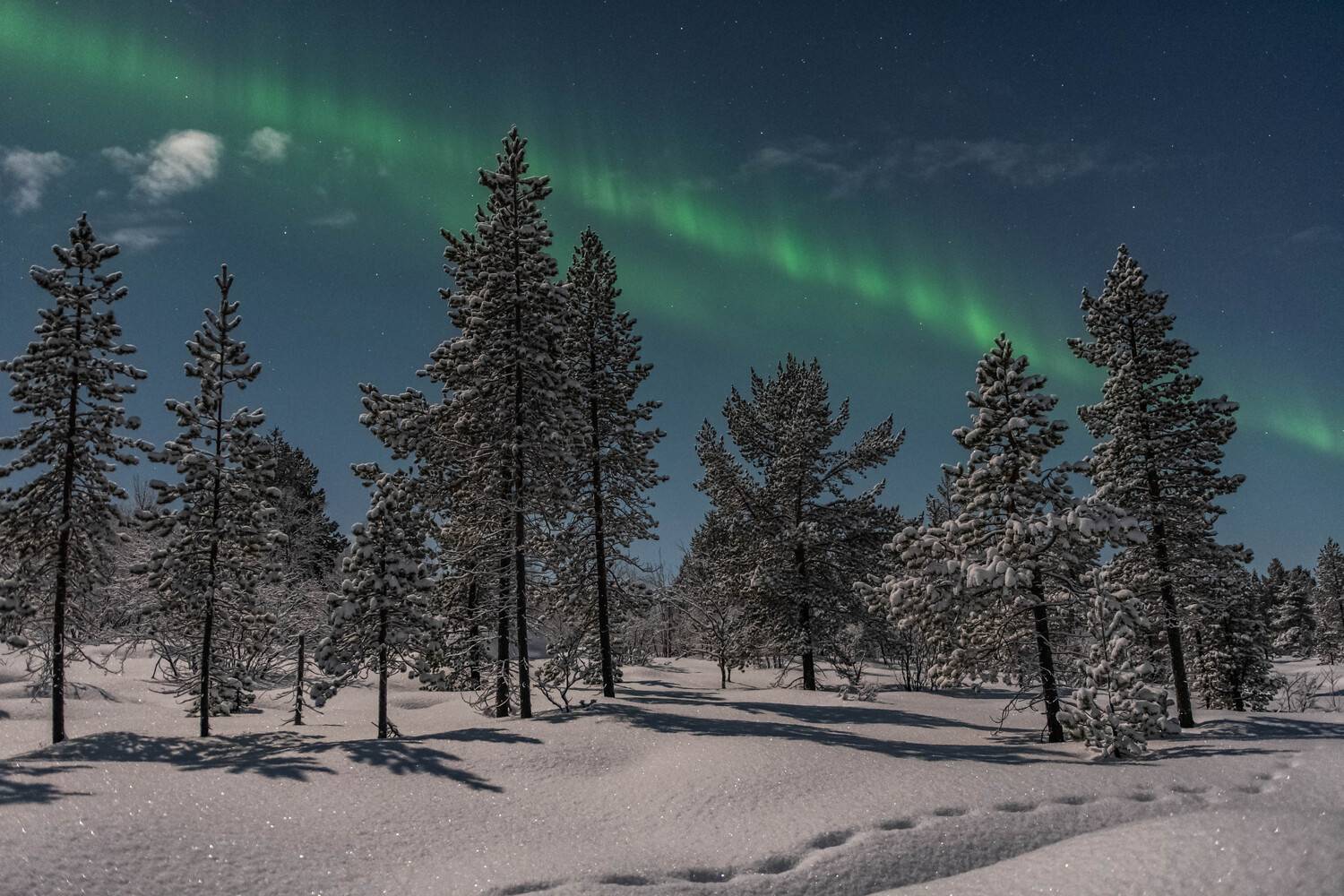 , Сергей Каверин