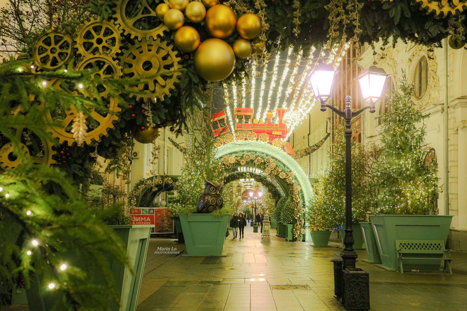 москва огнибольшогогорода зимняясказка сказкавгороде рождество проектзимавмоскве рождественскоенастроение снег рождественскиеогни новогодниеогни зимавгороде механикачудес сова ели механика ель совы паровоз плюшевыймедведь, Maria Lo