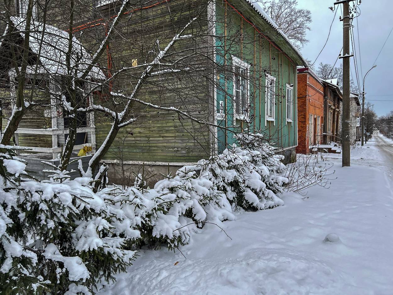 , Новикова Ольга