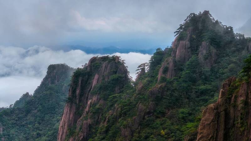 Сосны на скалах фото превью