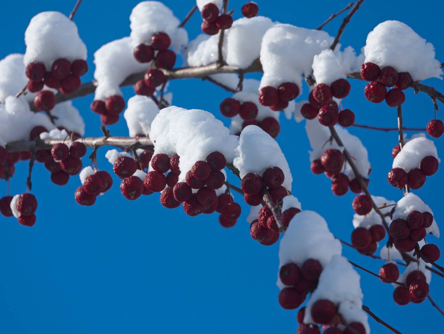 , Игорь Щербаков