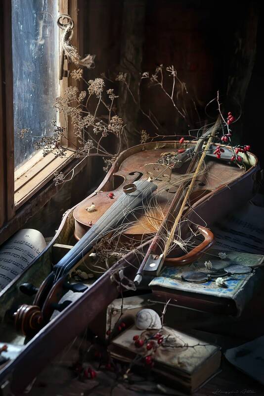 Old memory фото превью