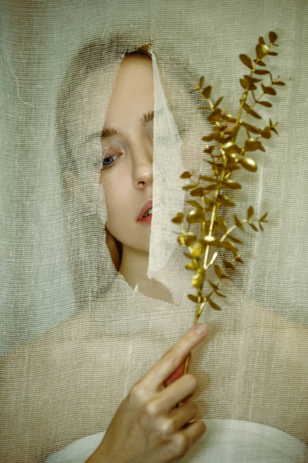 , Денис Труфанов