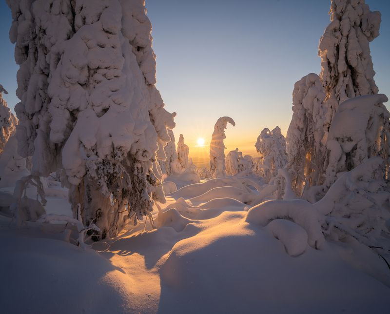 Пермские снежные великаны фото превью