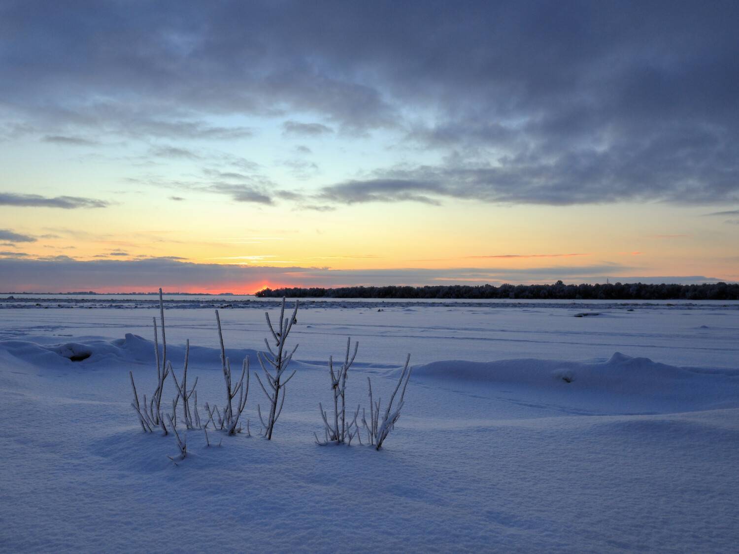 , Александр Титов