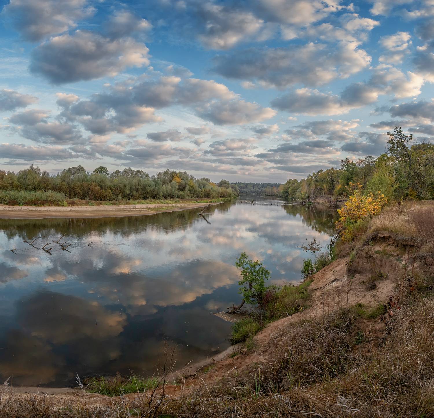 , Андреев Николай