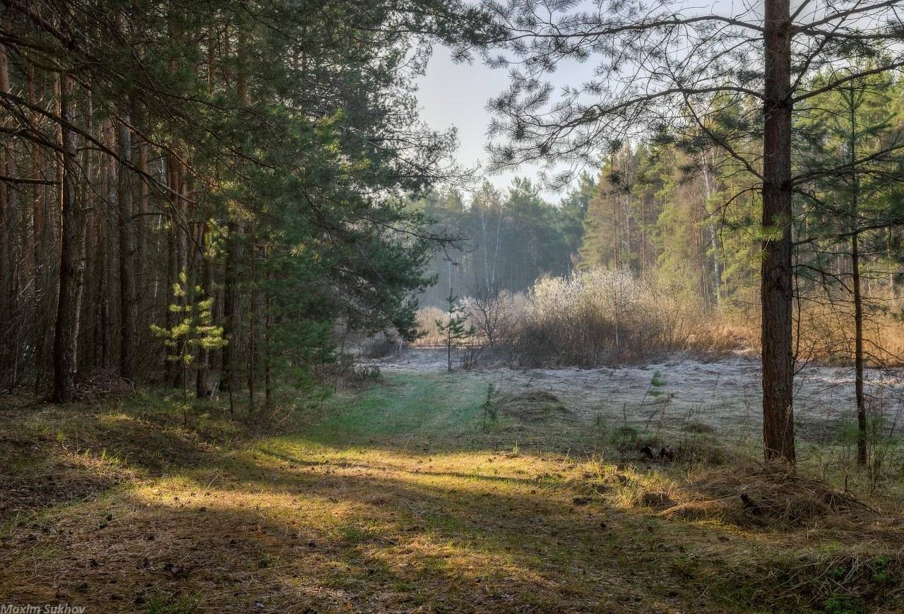 , Максим Сухов