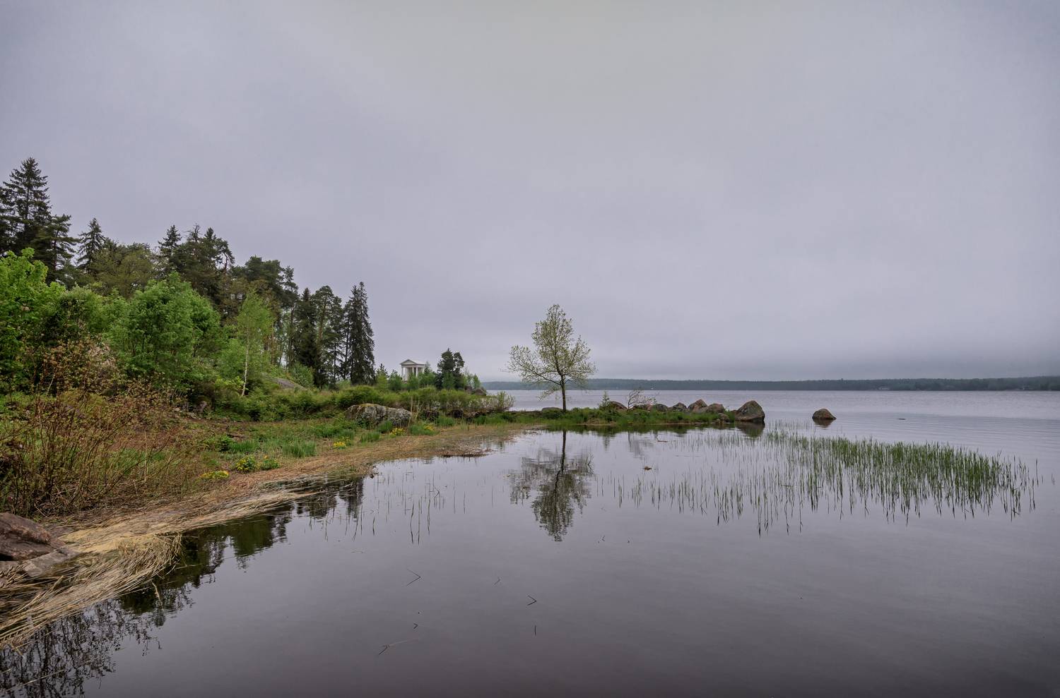 выборг, парк монрепо, весна, Тихонов Дмитрий