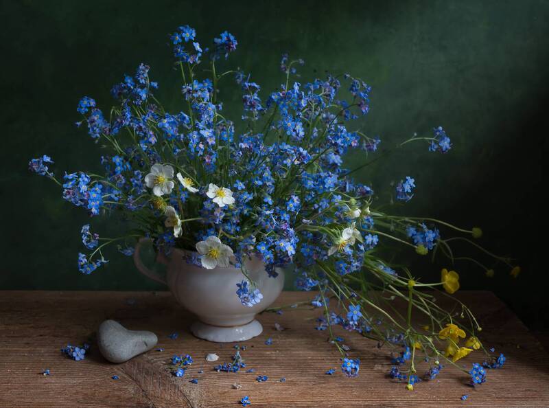 незабудки, цветы, камушек, сердце Только каменное сердце не болит... фото превью