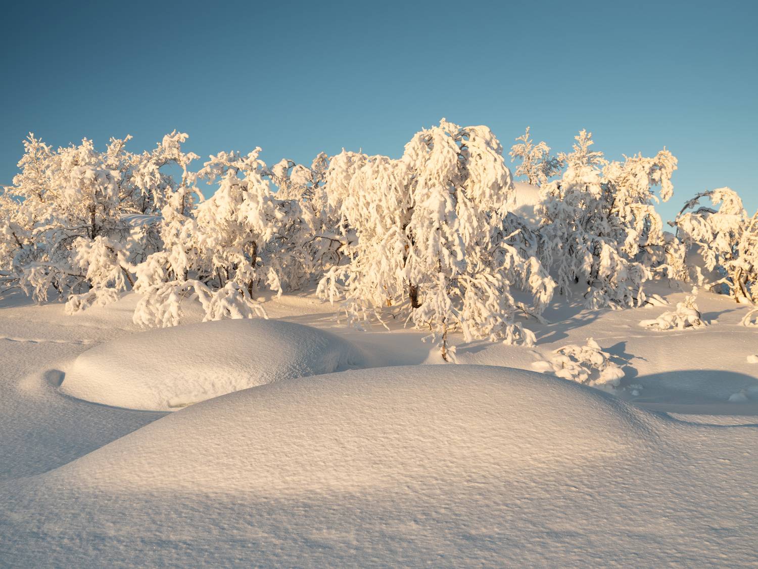 , Ворошилов Александр