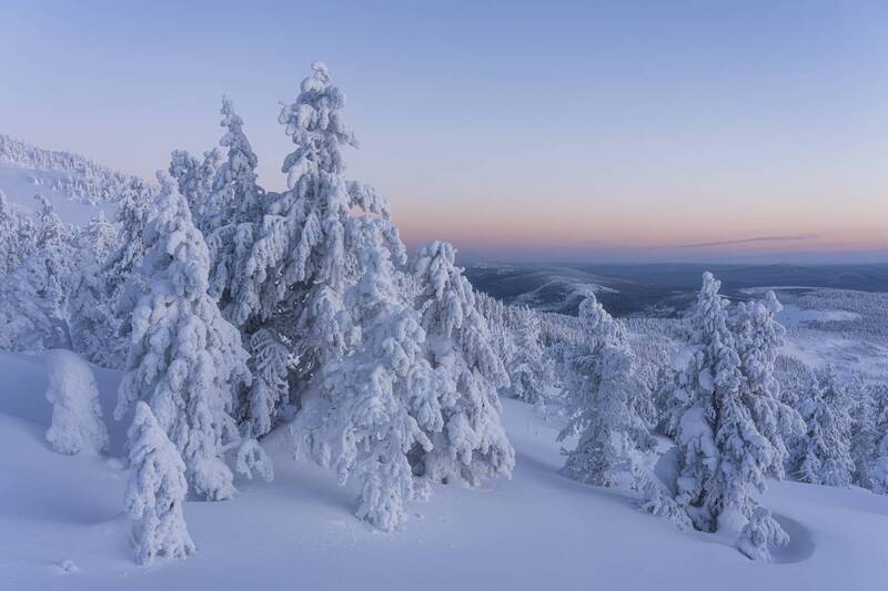 Спокойной ночи! фото превью