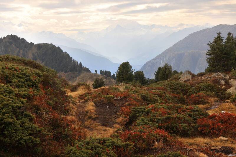 swiss Миражи фото превью