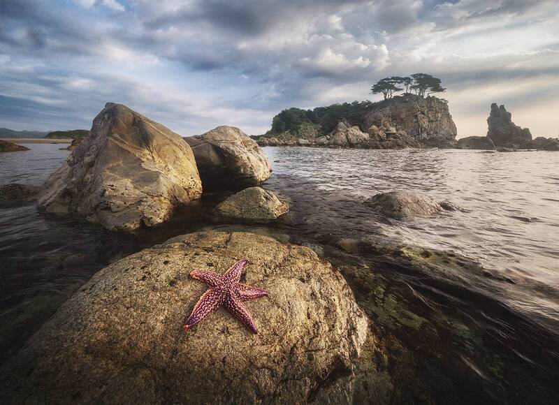 Приморье фото превью