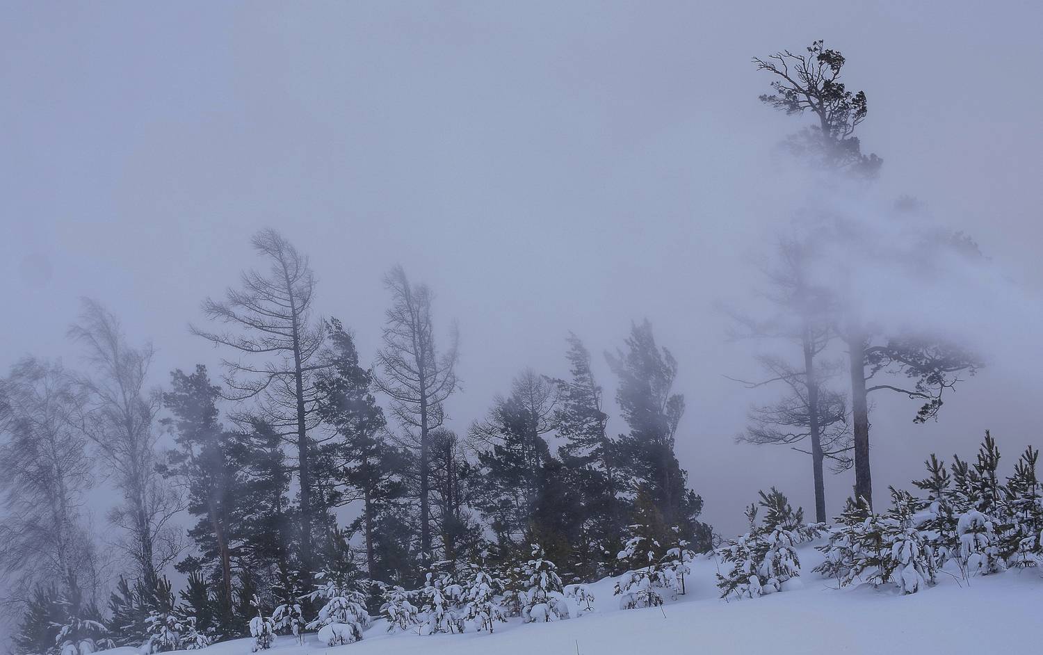 , Михаил Измайлов