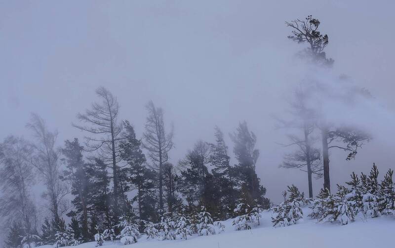Метель фото превью
