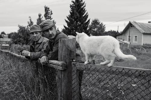 а можно спросить?