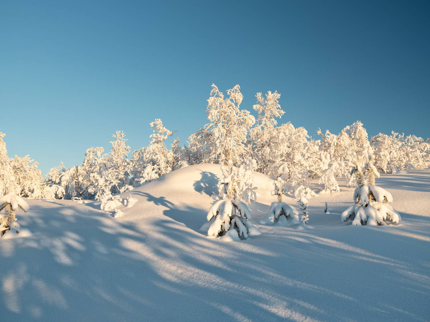 , Ворошилов Александр