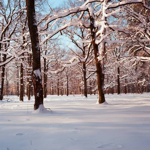 Русская зима