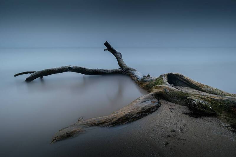 2025-03-31 фото превью