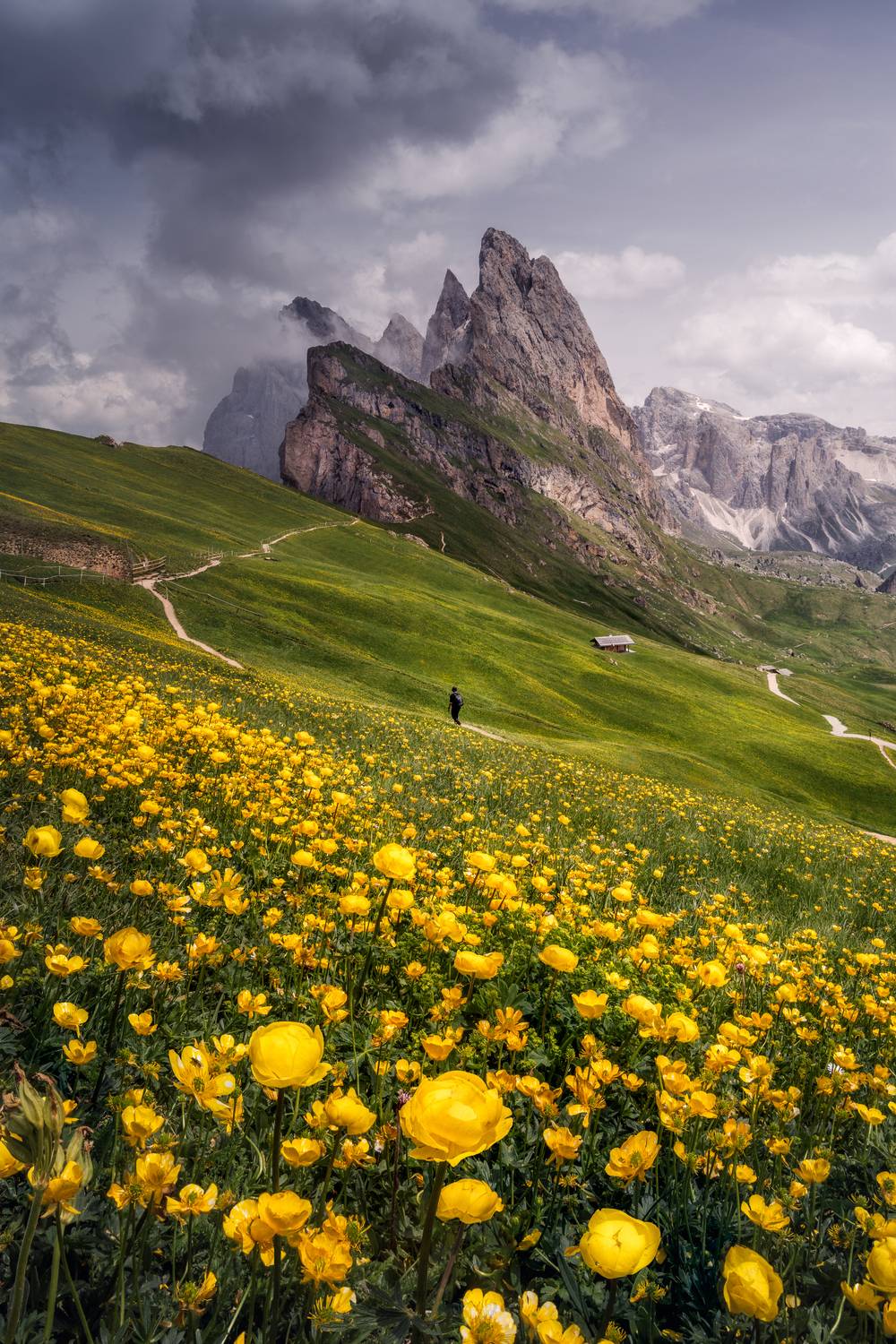 , Вукотић Никола