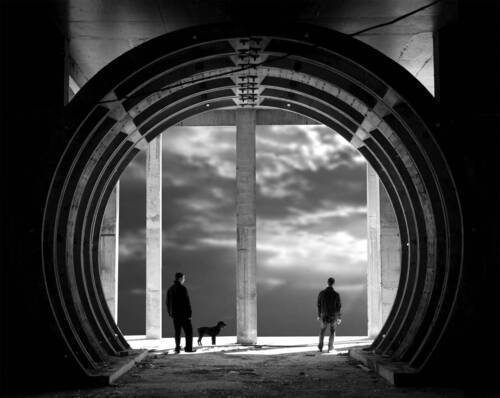 Анатомия души