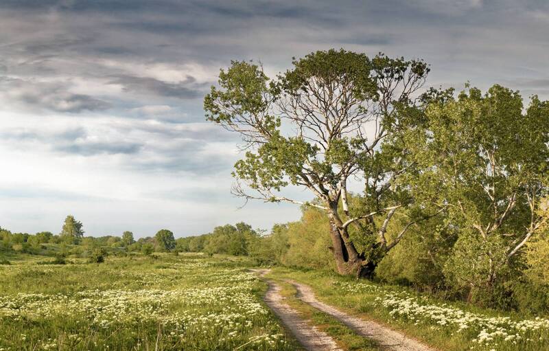 *** фото превью