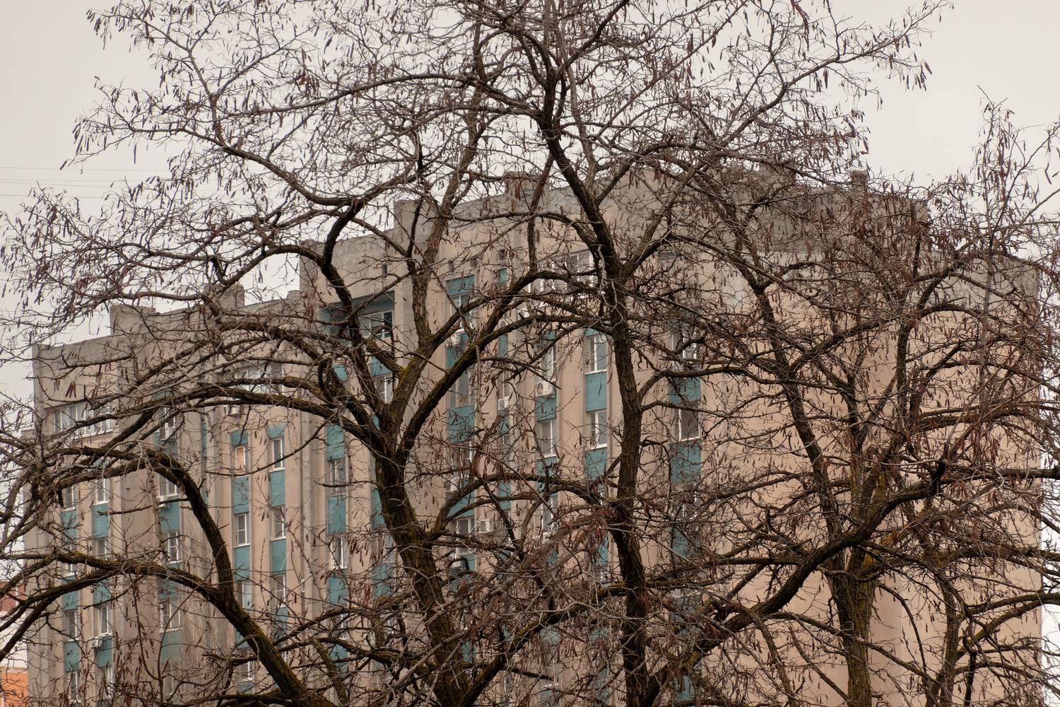 , Какоткин Роман