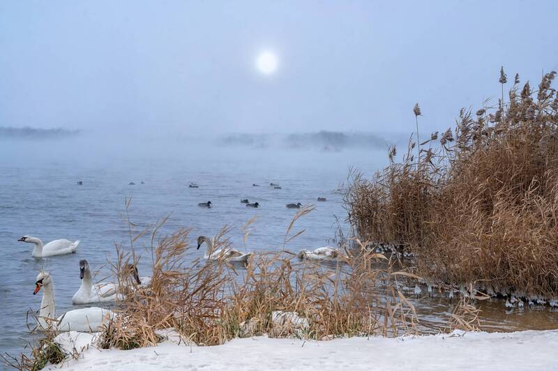 *** фото превью