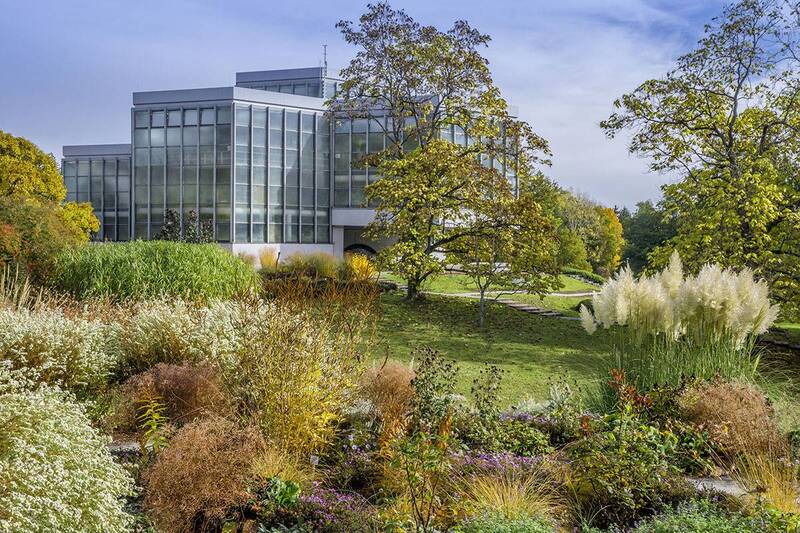 Botanischer Garten Thübingen фото превью