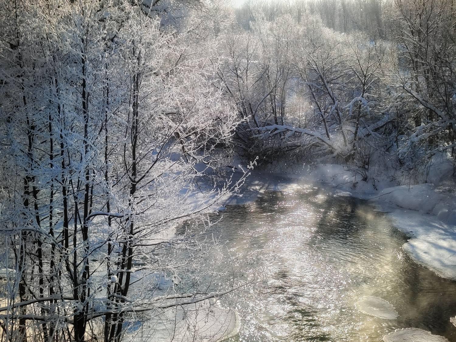 , Светлана Кондрашова