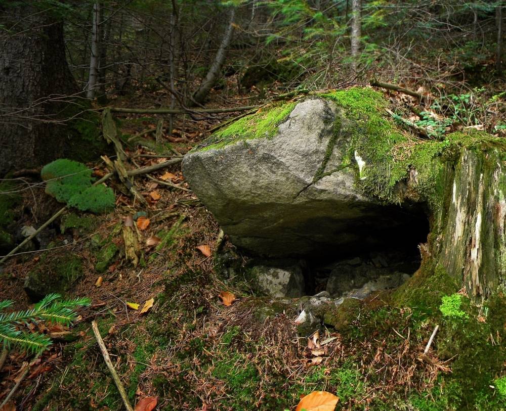 , Савоцкий Роман