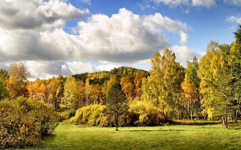 Осенний день фото превью