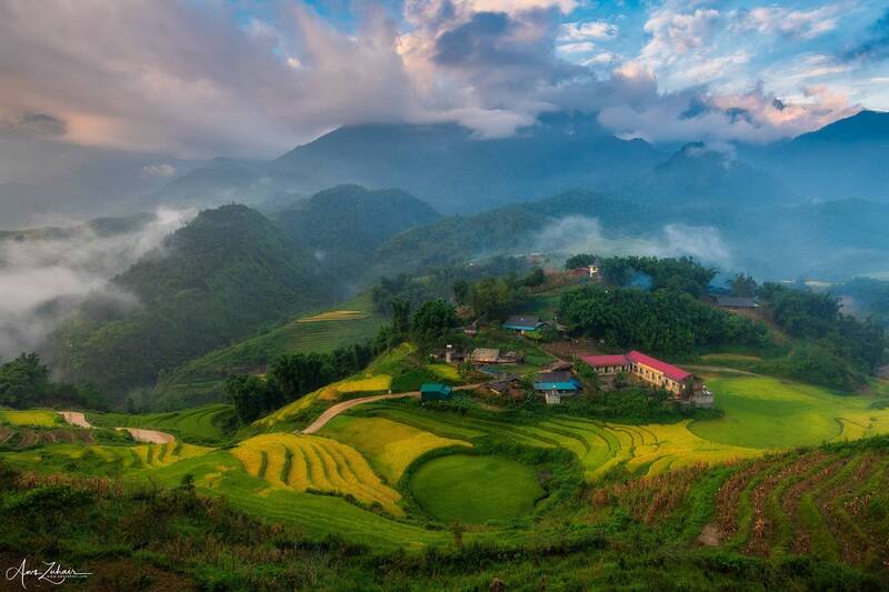 landscape Sa Pa Rice Field фото превью