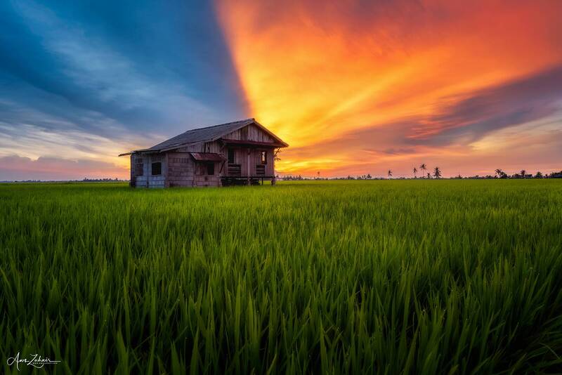 landscape The Woody House фото превью