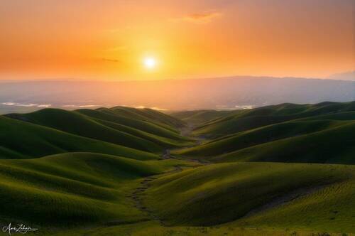 The Green Layers
