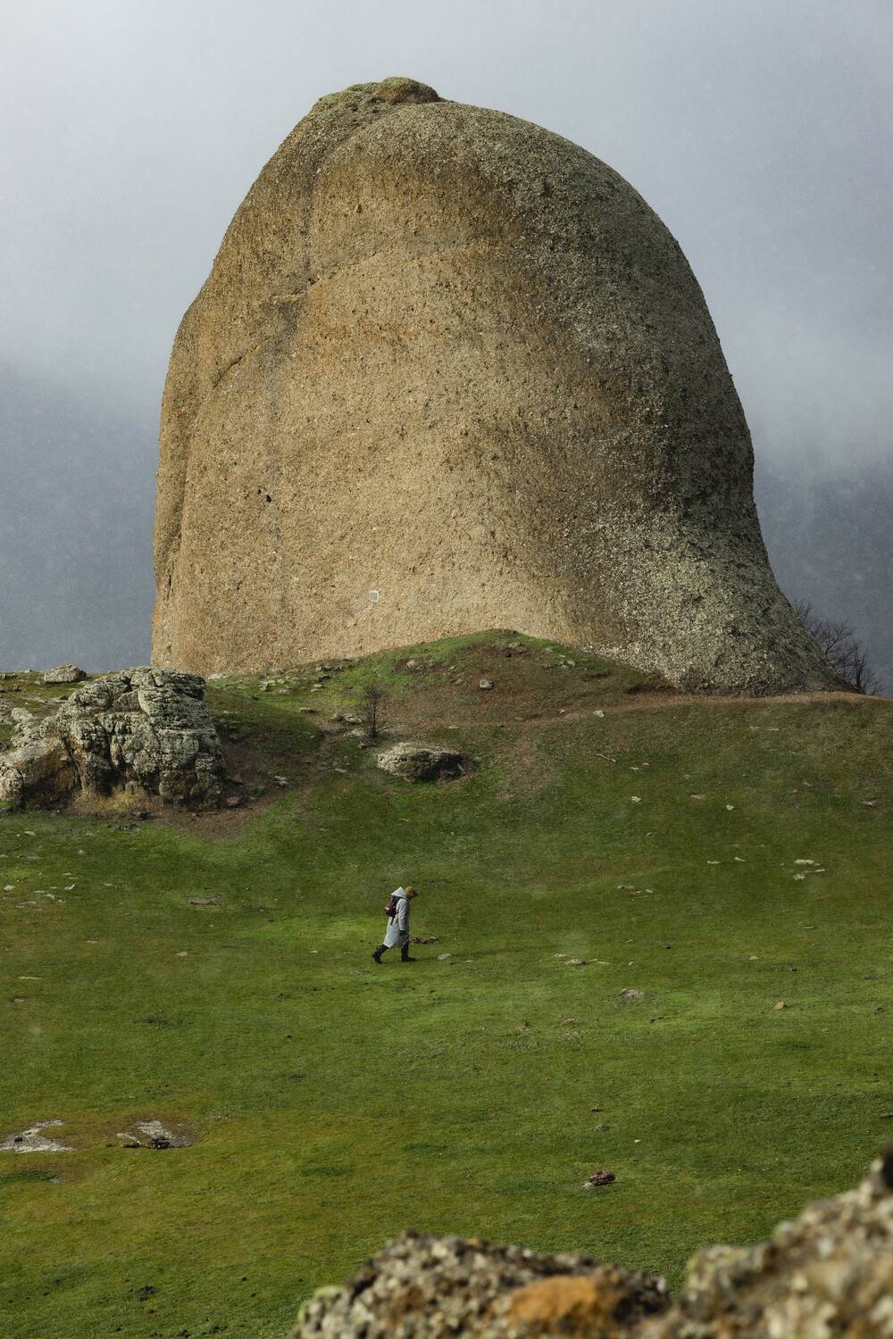 , Шаровская-Константинова Алина