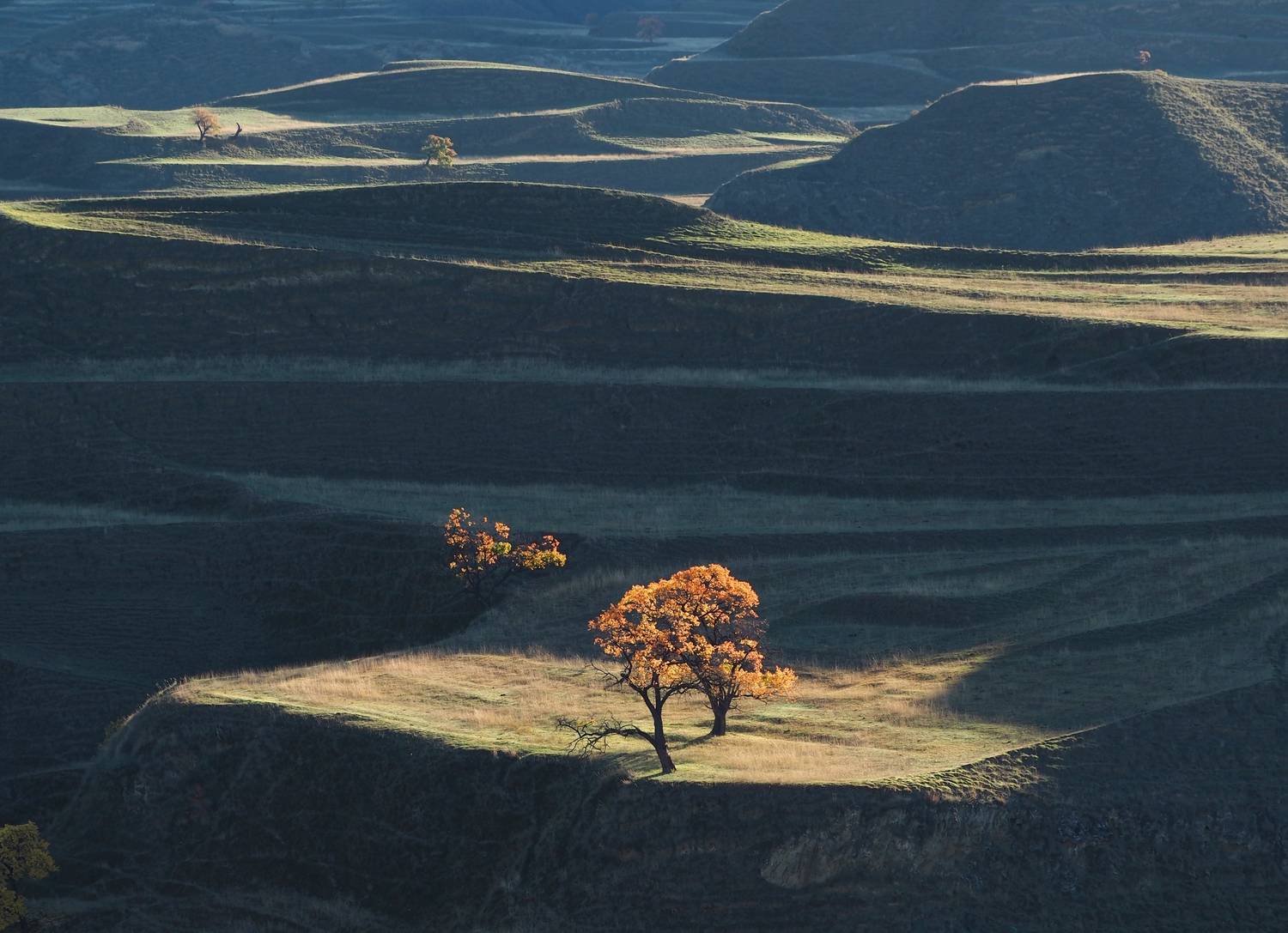 , Яковлев Евгений