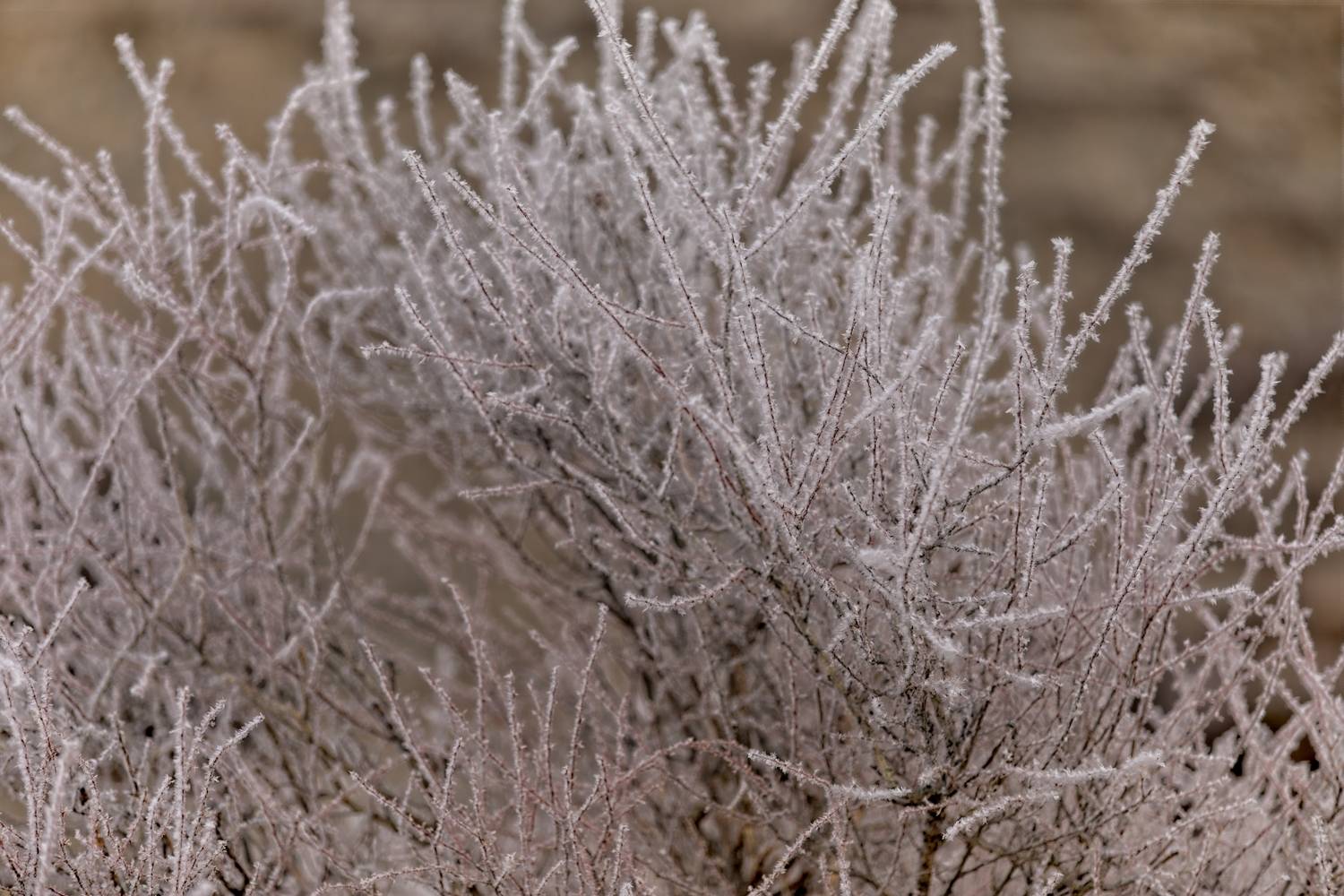 , Игорь Щербаков